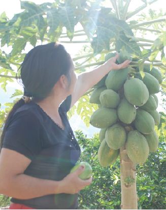 AgriFin Forum 2015 - Lending to Agribusiness: Financing Agricultural Value Chains