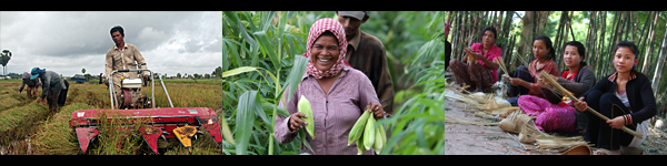 How can MFIs and banks better serve agricultural clients? 