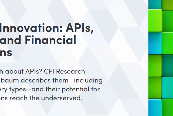 Building Innovation: APIs, Fintechs and Financial Institutions by Accion