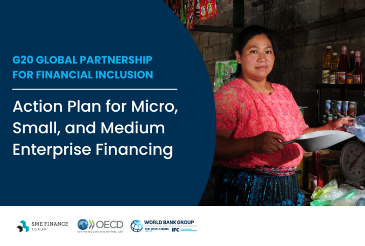 G20 Global Partnership for Financial Inclusion - Action Plan for Micro, Small, and Medium Enterprise Financing 