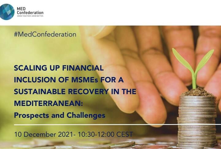 Webinar - Scaling Up Financial Inclusion of MSMEs for a Sustainable Recovery in the Mediterranean Prospects and Challenges -Hands with stack of coins and a plant growing on topof them. 