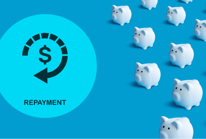 Virtual Roundtable Series on COVID-19 Mitigation Efforts #24 - SME Loan Repayment Holidays in the Age of COVID Virtual Roundtable Series on COVID-19 Mitigation Efforts #24 - SME Loan Repayment Holidays in the Age of COVID
