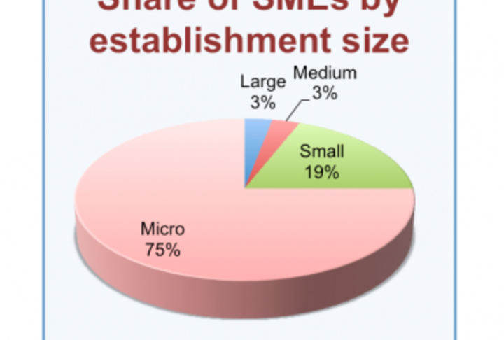 Malaysian SMEs need more than just money Malaysian SMEs need more than just money