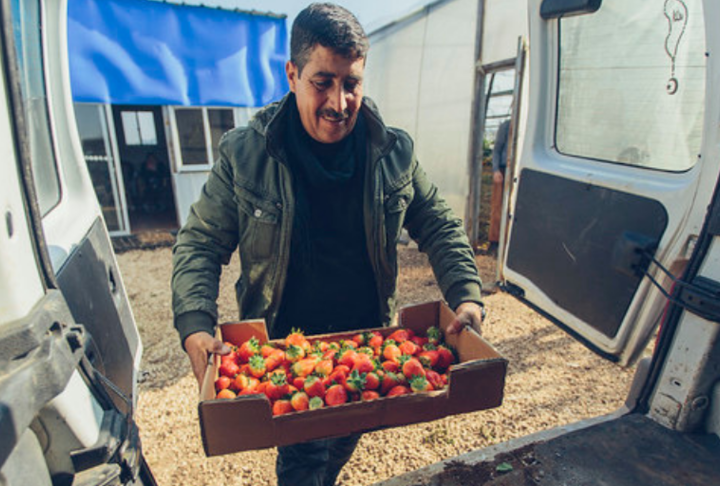 Growing SMEs. What Works? Growing SMEs. What Works?