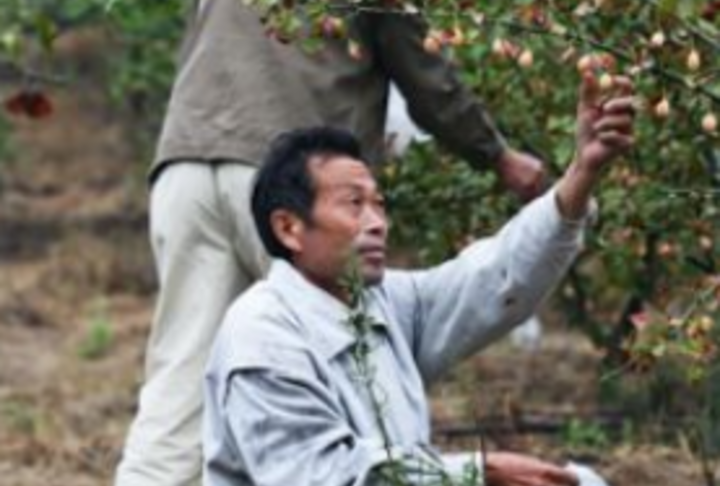 Financing Coffee Growers: Lessons from a Banking Partnership in Honduras 