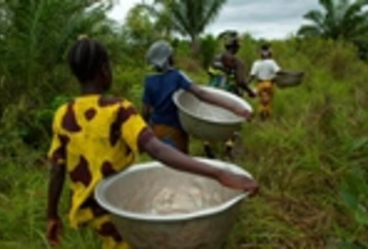 Disruptive Innovation: Sharing Lessons from the Africa Enterprise Challenge Fund