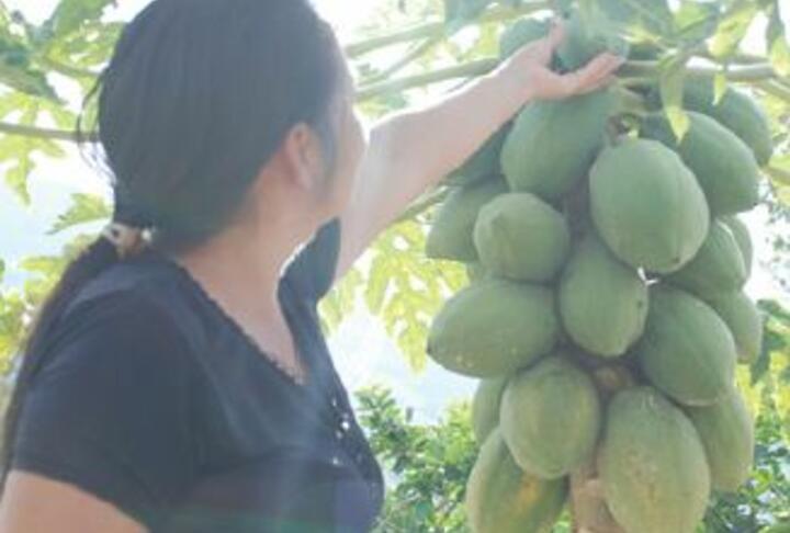 AgriFin Forum 2015 - Lending to Agribusiness: Financing Agricultural Value Chains