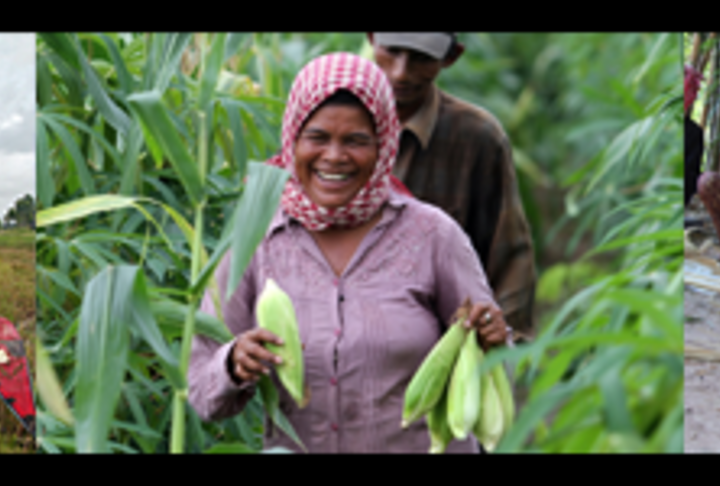 How can MFIs and banks better serve agricultural clients?