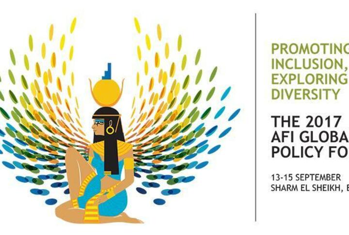 2017 AFI Global Policy Forum 2017 AFI Global Policy Forum