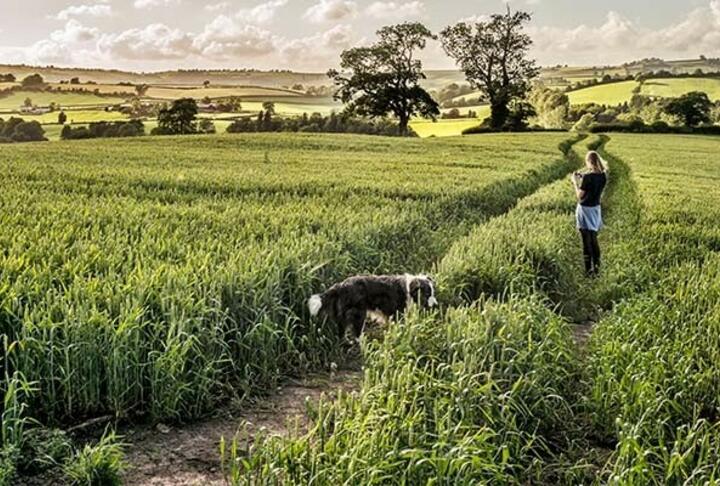 Agrifinance Report on the Rural Land Market in Britain