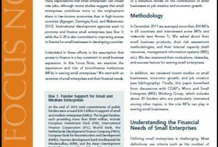 Financing Small Enterprises: What Role for Microfinance Institutions?