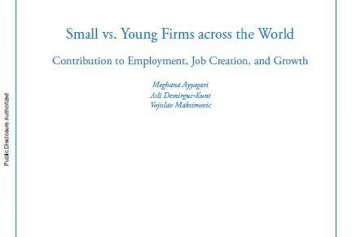 Small vs. Young Firms Across the World : Contribution to Employment, Job Creation, and Growth
