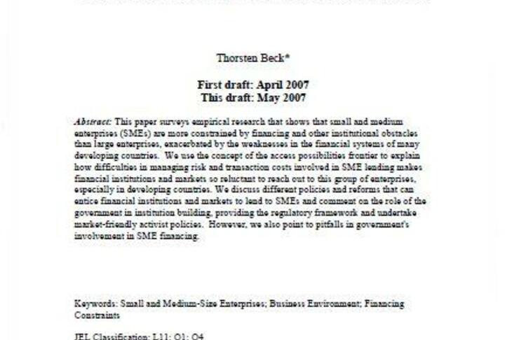 Financing Constraints of SMEs in Developing Countries: Evidence, Determinants and Solutions