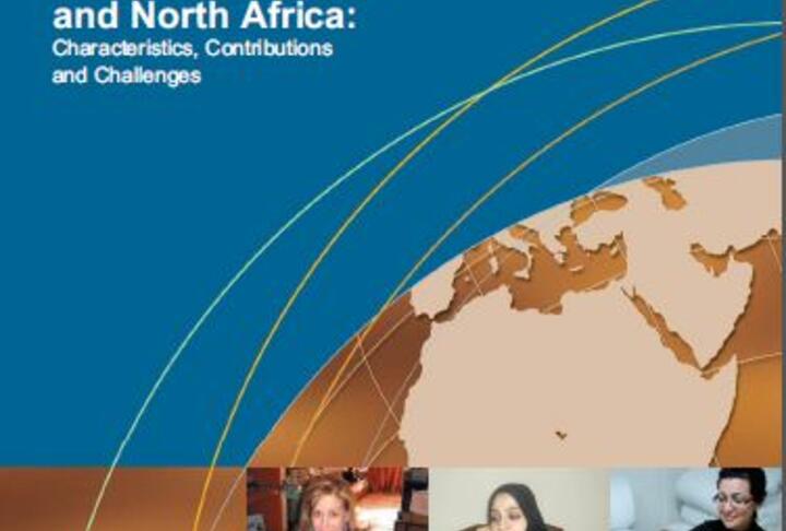 Women Business Owners in the Middle East and North Africa: Characteristics, Contributions and Challenges