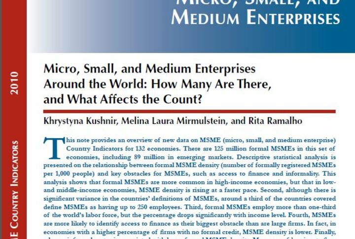 Micro, Small, and Medium Enterprises Around the World: How Many Are There, and What Affects the Count?'