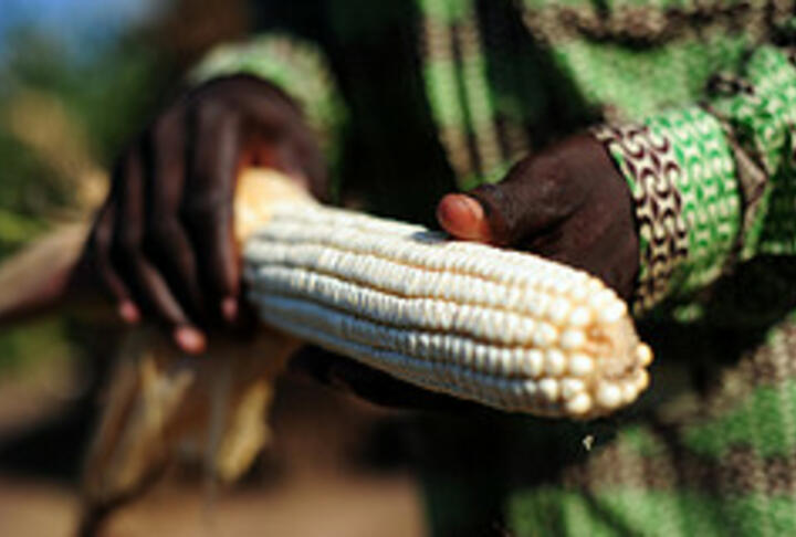 Andrew Stern from Dalberg discusses his report “Catalyzing Smallholder Agricultural Finance”
