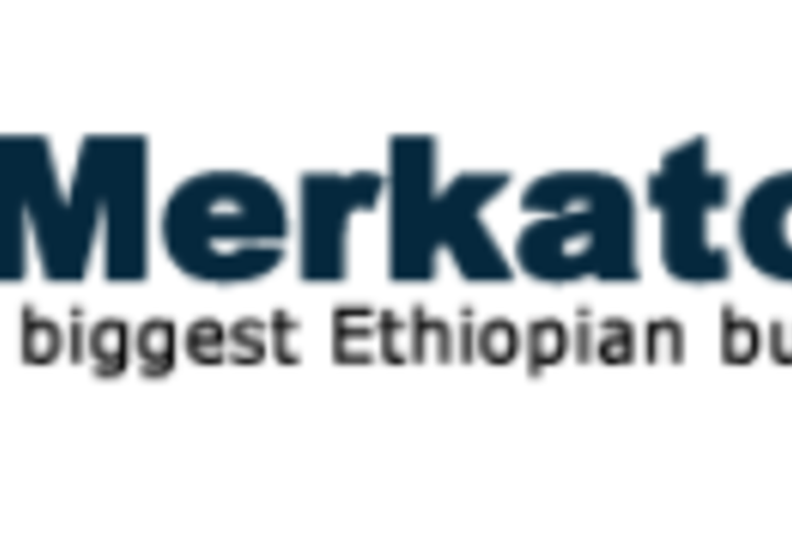Ethiopia: IDA Released US$50 million Fund Benefiting Women Entrepreneurs