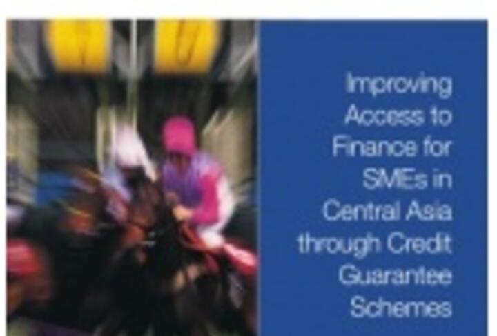 Improving Access to Finance for SMEs in Central Asia through Credit Guarantee Schemes Improving Access to Finance for SMEs in Central Asia through Credit Guarantee Schemes