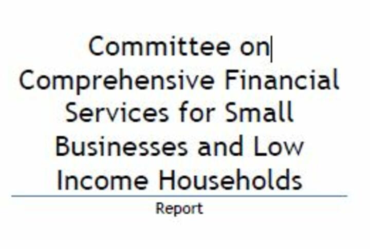 Committee on Comprehensive Financial Services for Small Businesses and Low Income Households in India