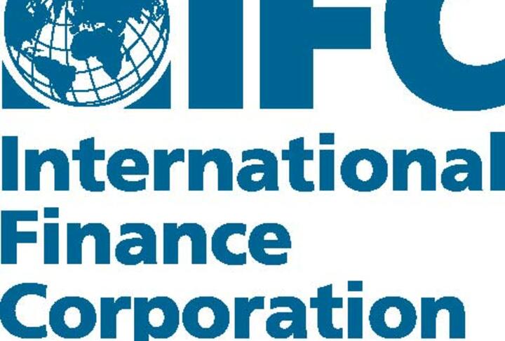 IFC Financing to Micro, Small and Medium Enterprises - FY2013