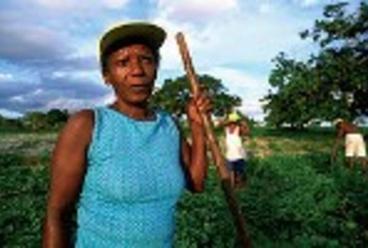 Six Innovative Initiatives That Are Working to Strengthen Women's Empowerment in Agriculture