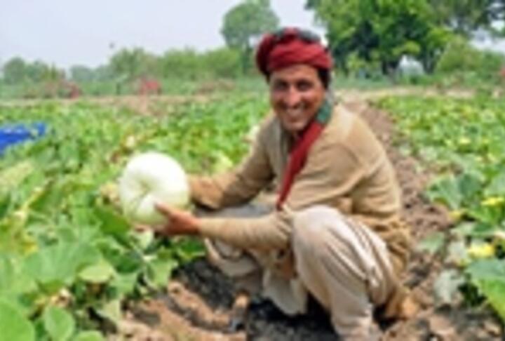 Pakistan’s Wasil Foundation Wins Islamic Microfinance Challenge