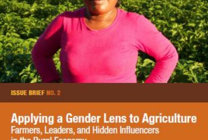 Applying a Gender Lens to Agriculture Farmers, Leaders, and Hidden Influencers in the Rural Economy