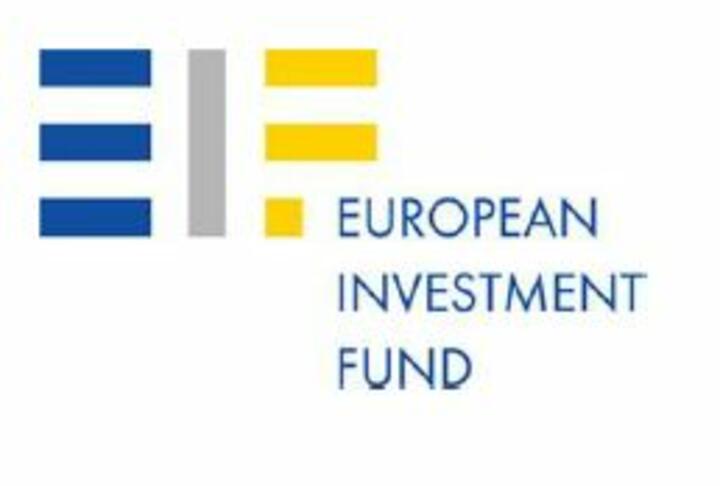 Institutional non-bank lending and the role of debt funds - EIF Working Paper