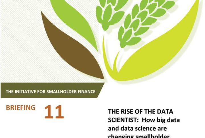The Rise of the Data Scientist: How big data and data science are changing smallholder finance