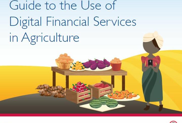 Guide to the Use of Digital Financial Services in Agriculture