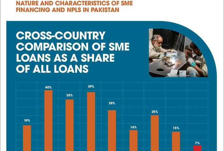 Nature and Characteristics of SME Financing and NPLs in Pakistan