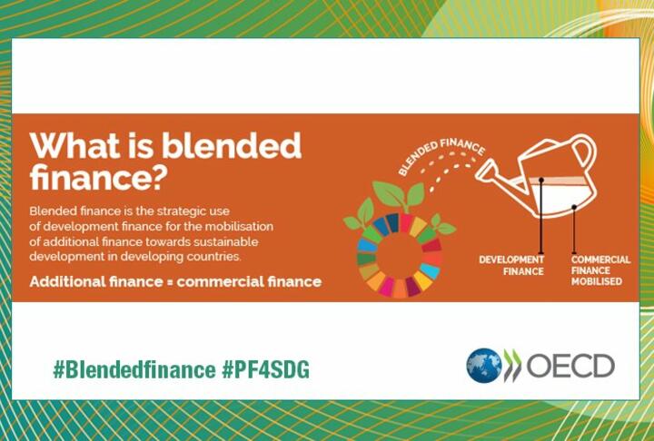 Making Blended Finance Work for the Sustainable Development Goals