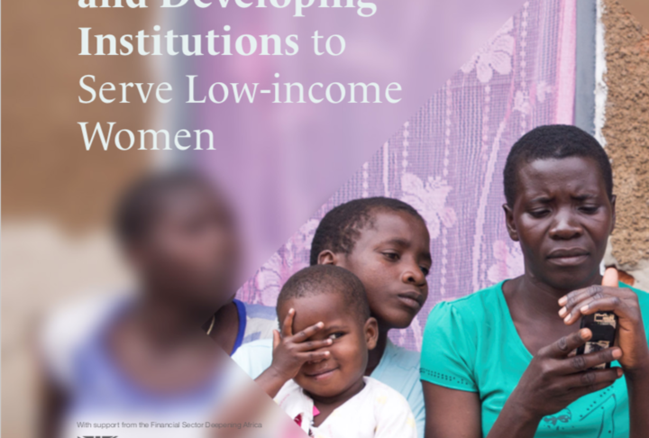 Case Study: “Designing Products and Developing Institutions to Serve Low-income Women” in Nigeria, Tanzania and Malawi