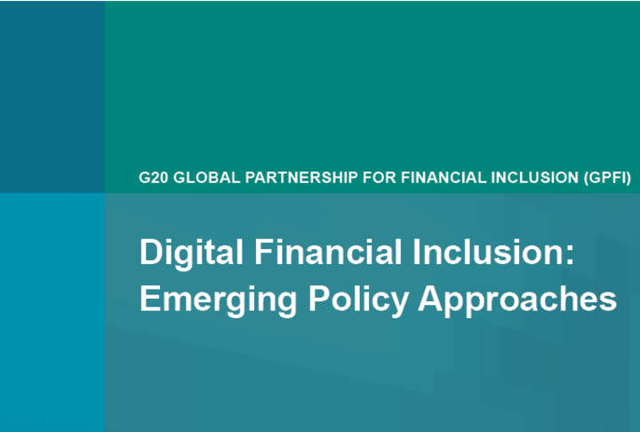 Digital Financial Inclusion: Emerging Policy Approaches