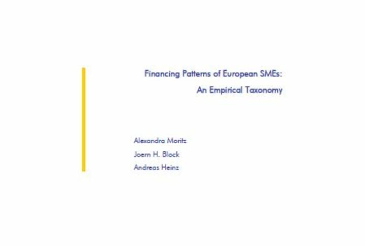 Financing Patterns of European SMEs: An Empirical Taxonomy