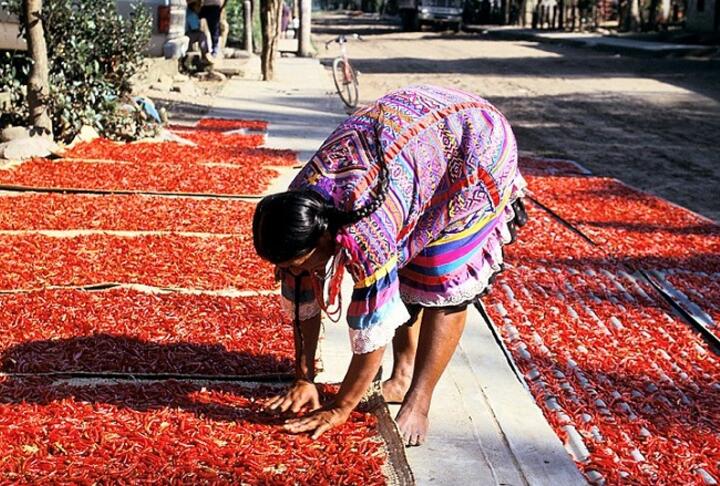 World Bank Project Expands Access to Finance for Women in Rural Mexico