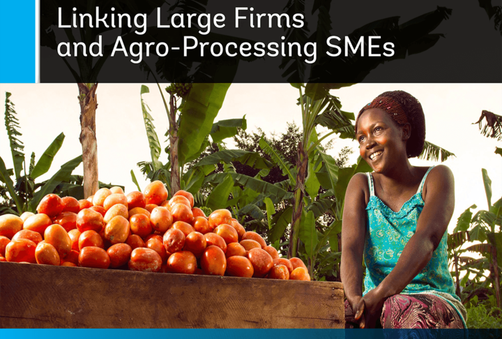 Partnership for Growth: Linking Large Firms and Agro-Processing SMEs 