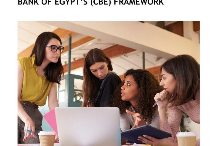 Integrating Gender and Women's Financial Inclusion into the Central Bank of Egypt's (CBE) Framework