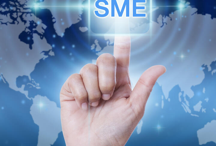 Who Takes the Risks for Funding SMEs in Europe?