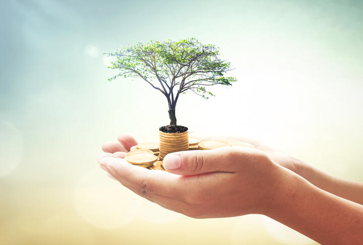 The Alternative Finance Market: What is out there for Small Companies? The Alternative Finance Market: What is out there for Small Companies?