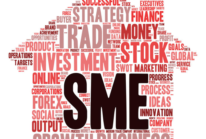 SME Action Plan on Financial Infrastructure