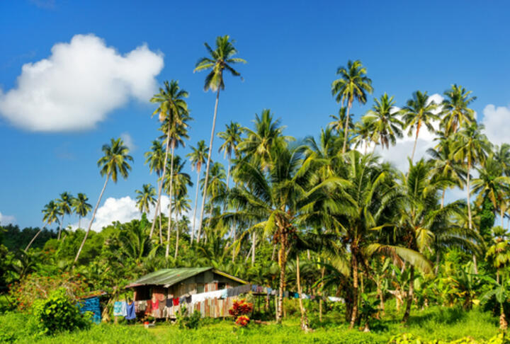 Access to finance, a challenge for SMEs in Fiji