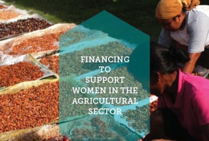 Financing to Support Women in the Agricultural Sector