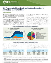 IFC Financing to Micro, Small, and Medium Enterprises in Middle East and North Africa