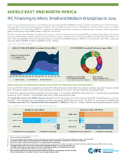 IFC Financing to Micro, Small, and Medium Enterprises in Middle East and North Africa