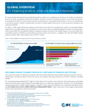 IFC Financing to Micro, Small and Medium Enterprises – Globally