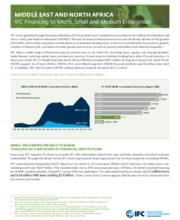 IFC Financing to Micro, Small and Medium Enterprises - Middle East and North Africa