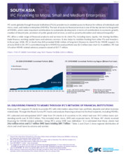 IFC Financing to Micro, Small and Medium Enterprises - South Asia