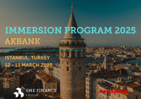 Akbank Immersion Program