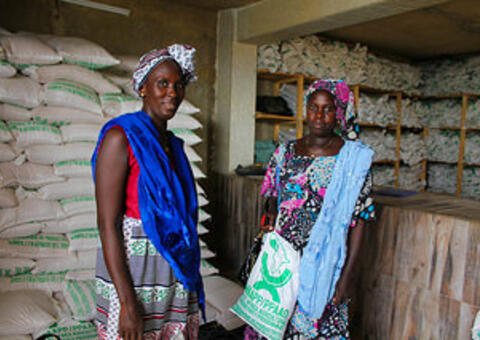 Greenfield microfinance – a business model for advancing financial inclusion in Sub-Saharan Africa?